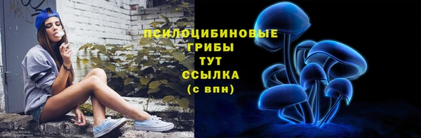гашик Алзамай