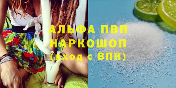 гашик Алзамай